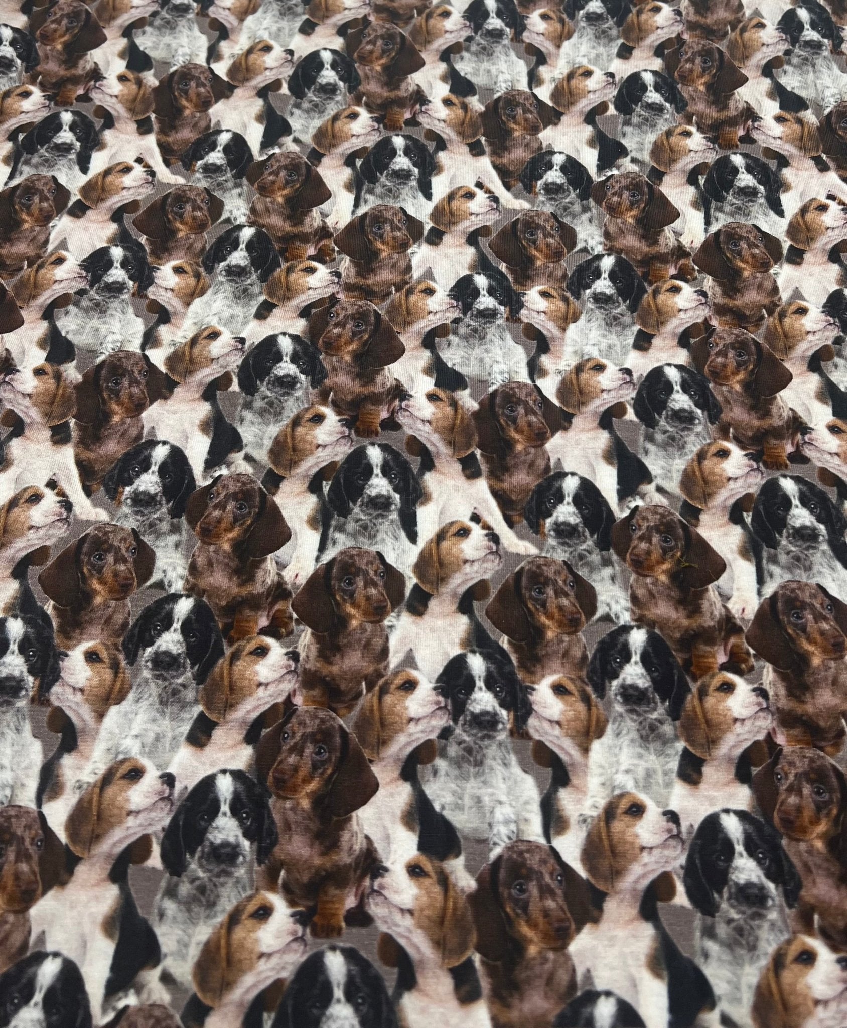 Cute Puppies Cotton Stretch Jersey 200 GSM 95/5 Lycra 4 Way Stretch - T9 Fabrics