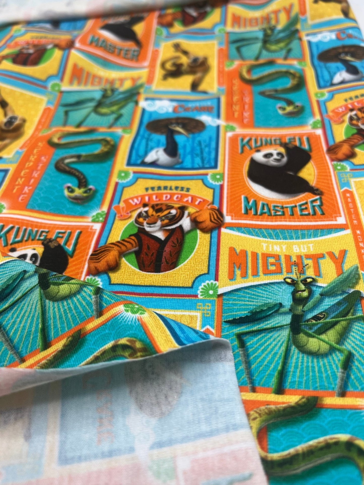 Kung Fu Panda Cotton Stretch Jersey 200 GSM 95/5 Lycra 4 Way Stretch - T9 Fabrics