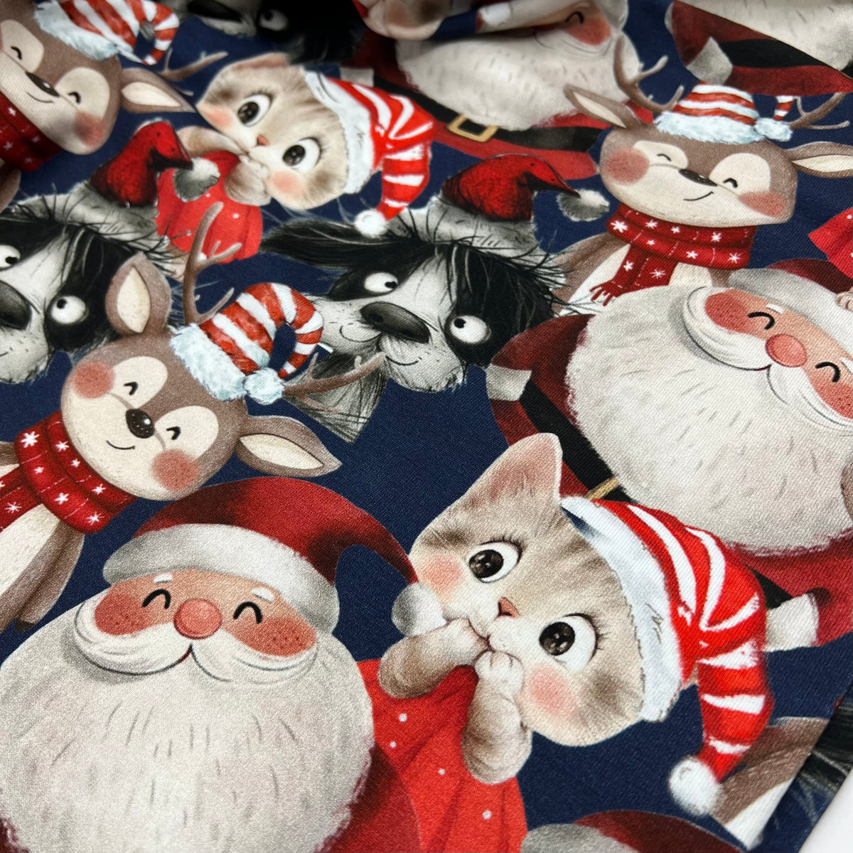 Santa & Co French Terry Loopback Cotton Jersey Lycra 4 Way Stretch