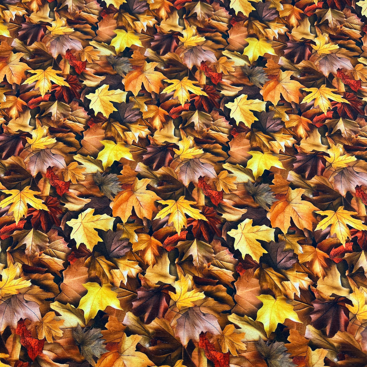 Brown Leaves Print Cotton Jersey 200 GSM 95/5 Lycra 4 Way Stretch