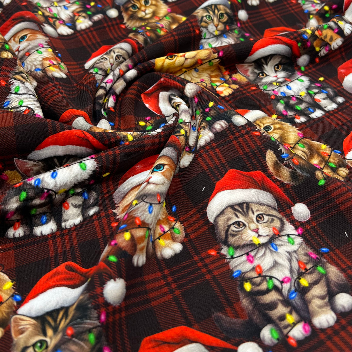 Festive Cats French Terry Loopback Cotton Jersey Lycra 4 Way Stretch