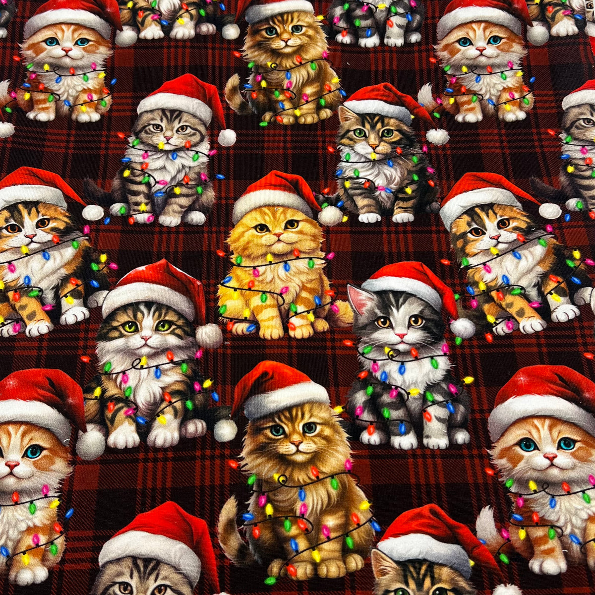 Festive Cats French Terry Loopback Cotton Jersey Lycra 4 Way Stretch