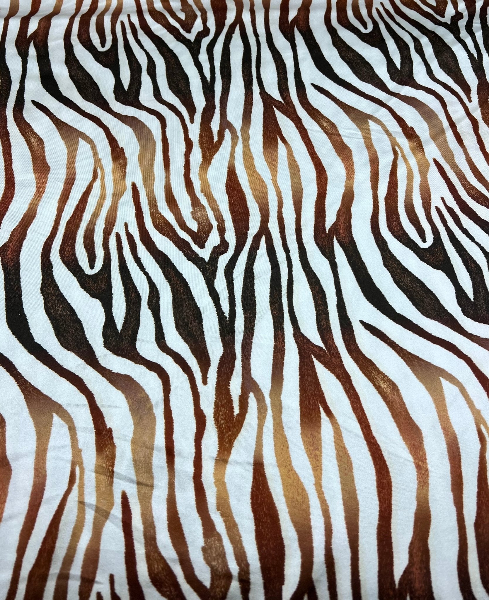 Brown Zebra Swimwear / Sportswear Fabric - T9 Fabrics