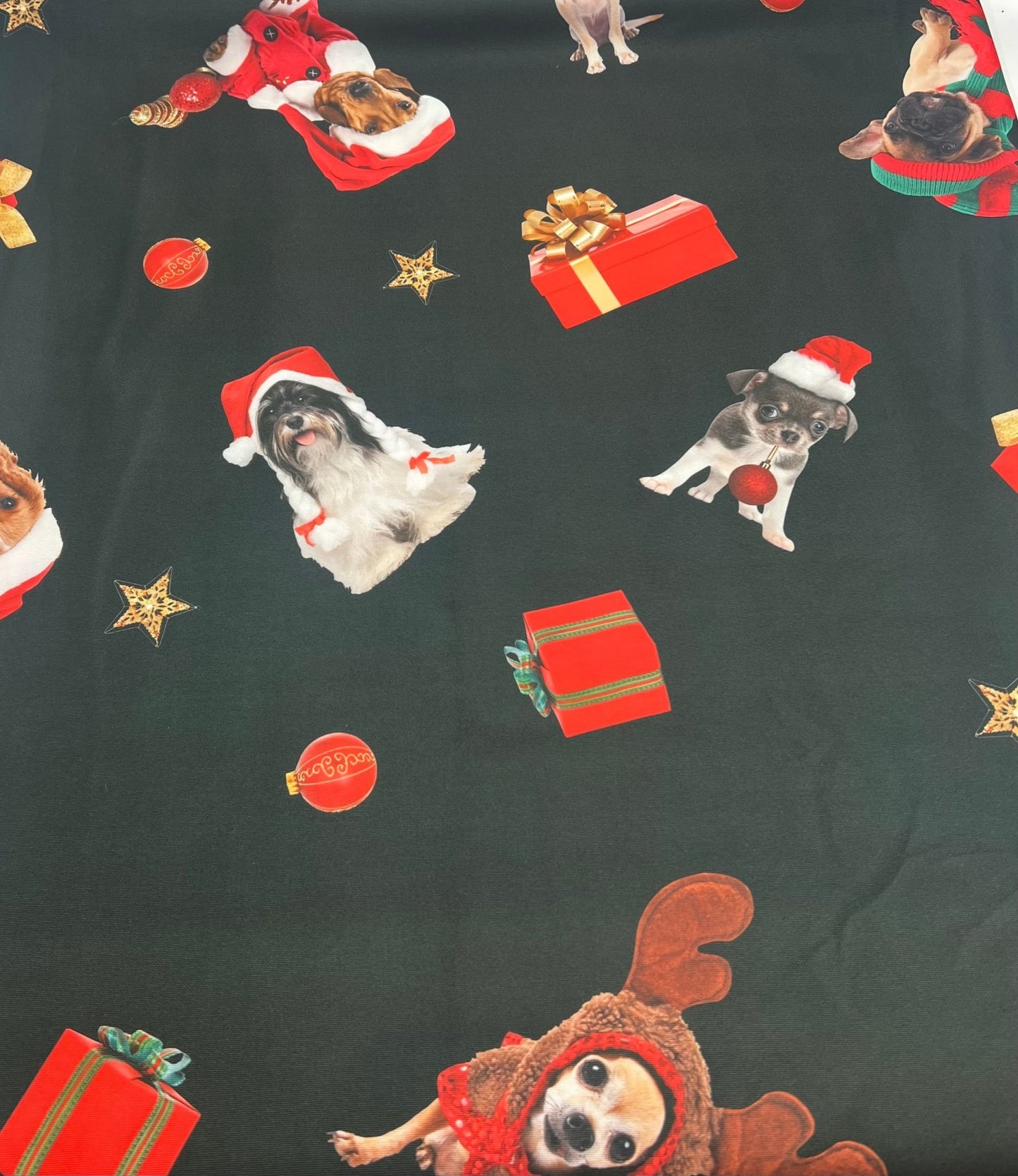 Dogs Presents Printed Plain Scuba 2 Way Stretch Jersey Fabric - T9 Fabrics