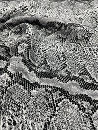 Grey Snake Printed Plain Scuba 4 Way Stretch Jersey Fabric - T9 Fabrics