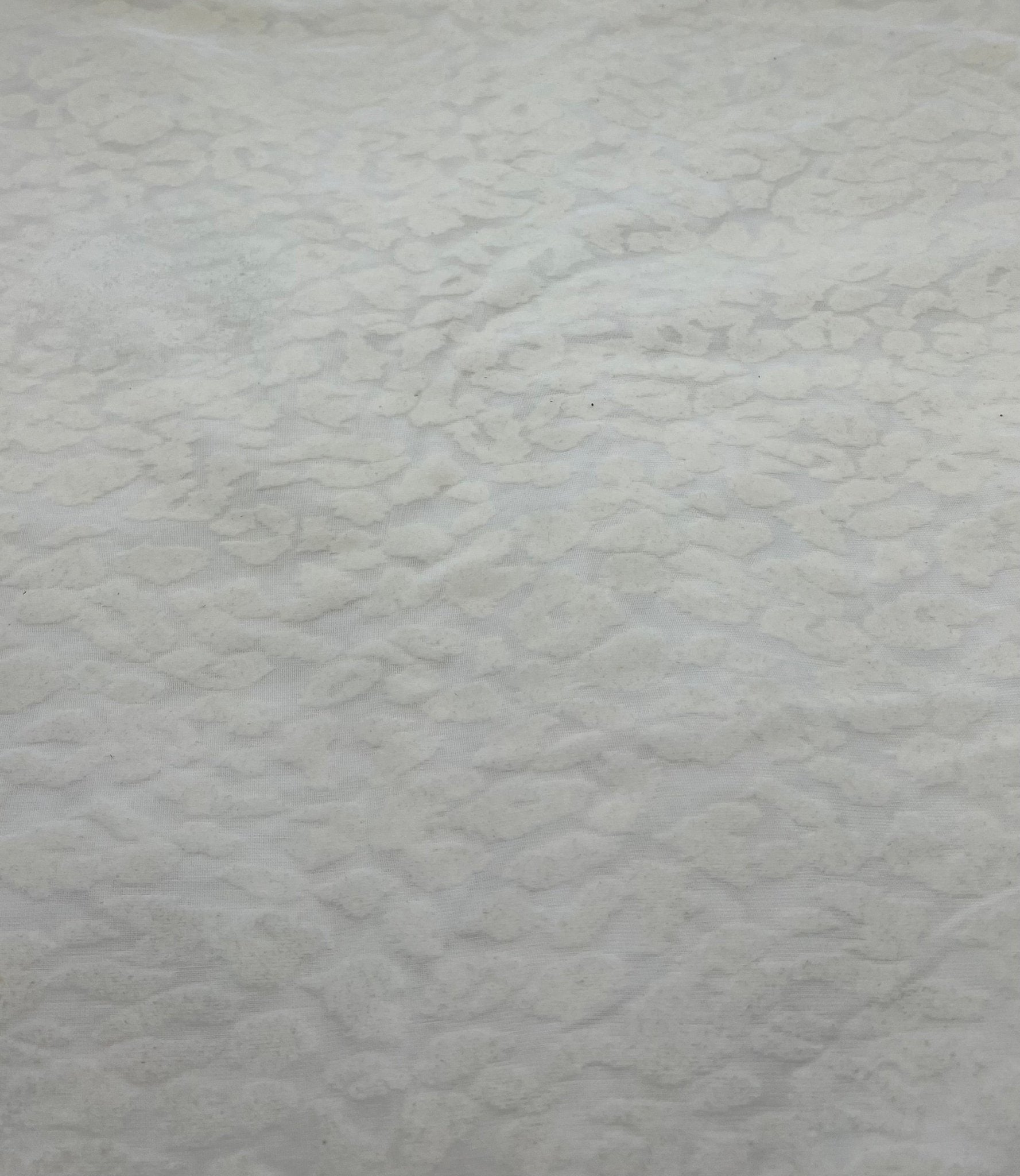 Ivory Cream Animal Embossed Mesh Fabric 2 Way Stretch - T9 Fabrics