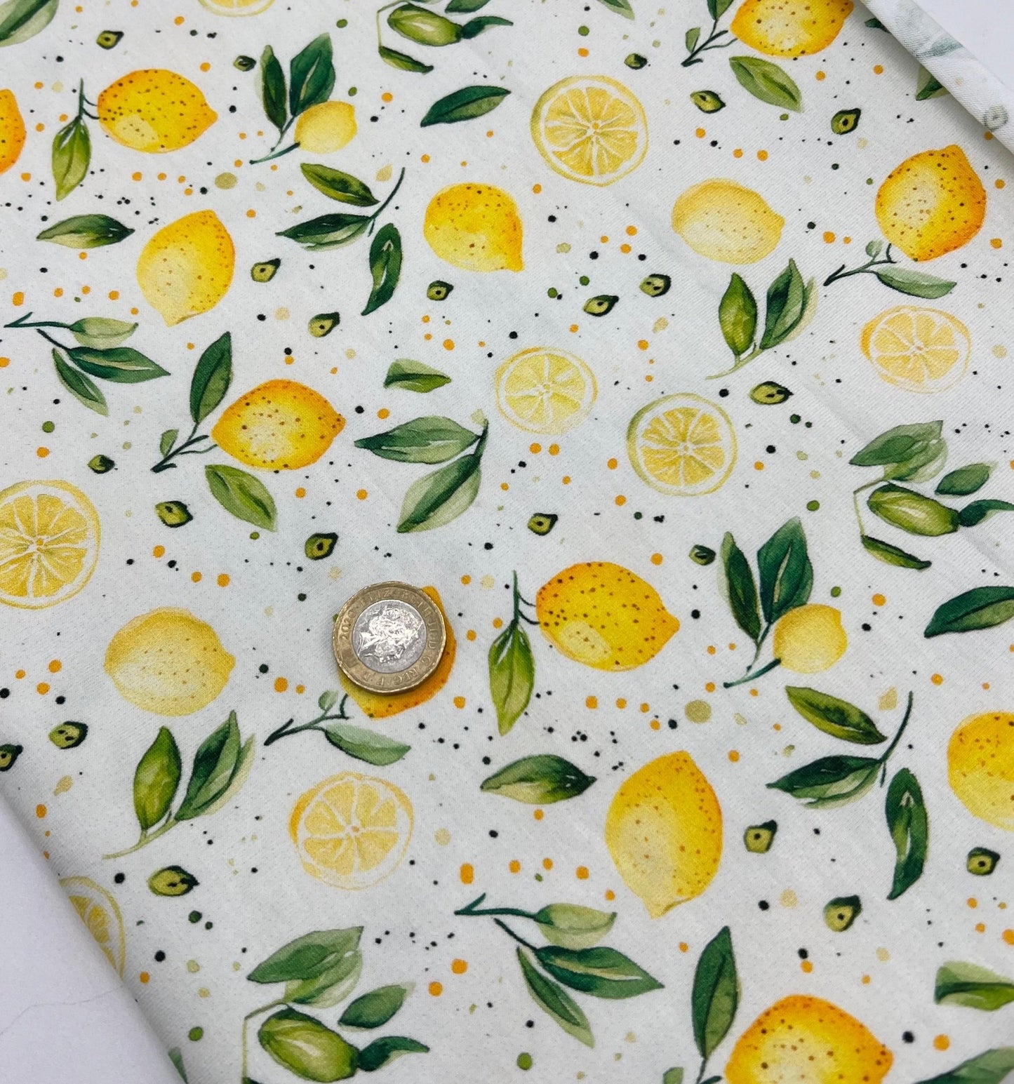 Lemons Print Cotton Stretch Jersey 200 GSM 95/5 Lycra 4 Way Stretch - T9 Fabrics