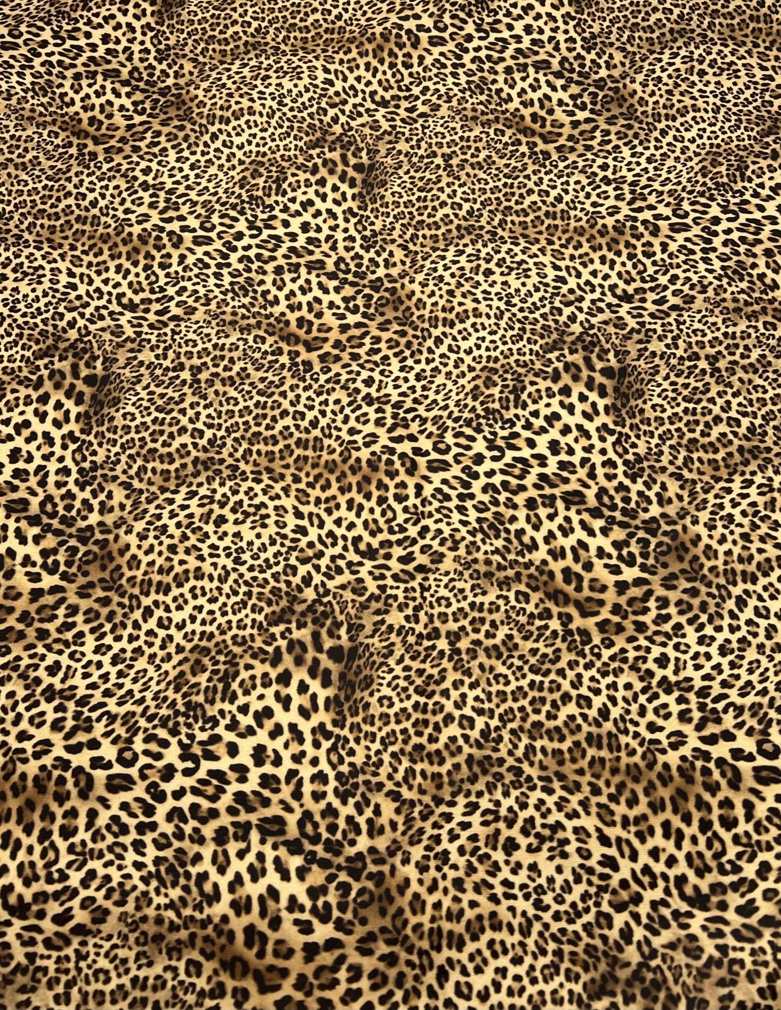 Leopard Plain Scuba Fabric - T9 Fabrics