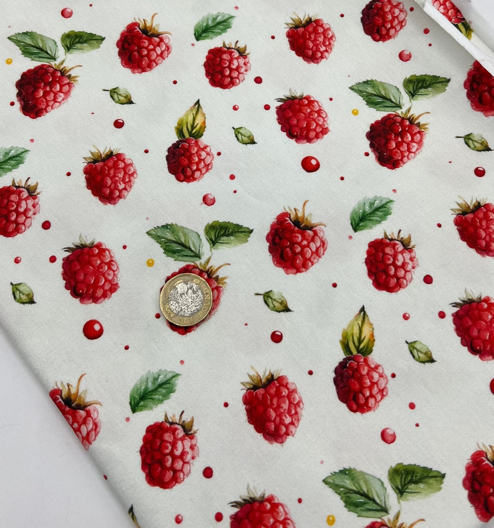 Raspberries Print Cotton Stretch Jersey 200 GSM 95/5 Lycra 4 Way Stretch - T9 Fabrics