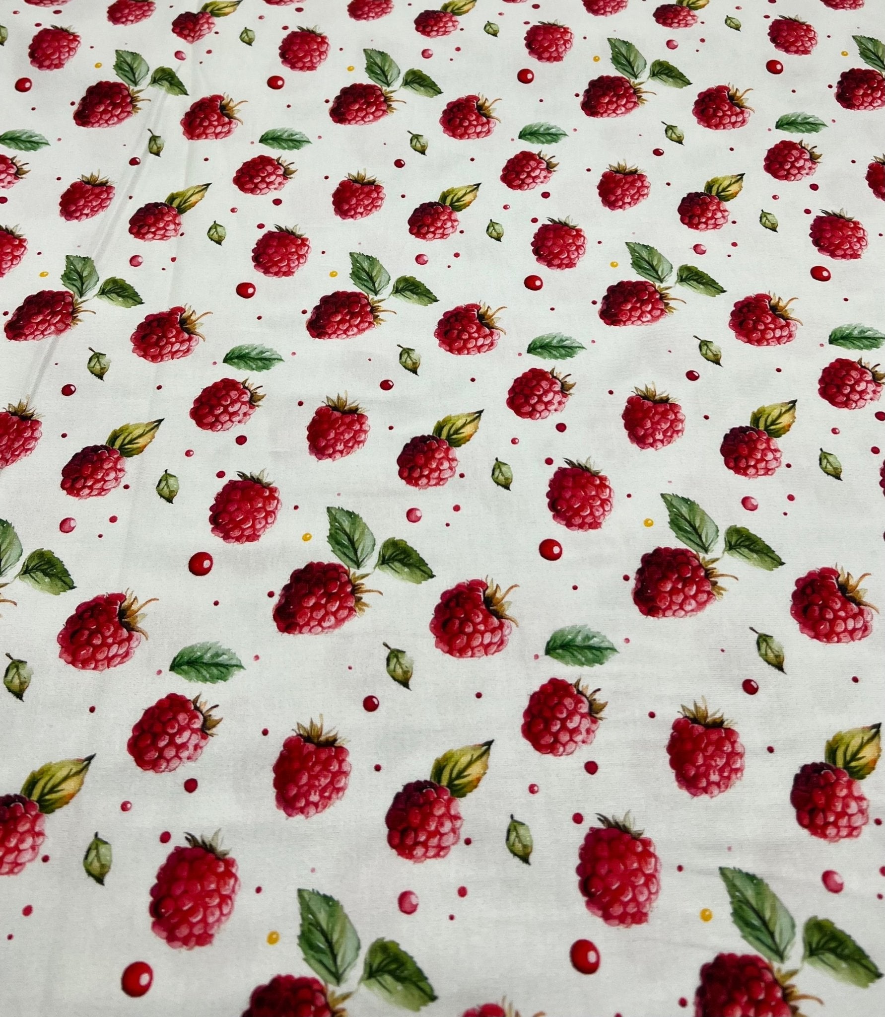 Raspberries Print Cotton Stretch Jersey 200 GSM 95/5 Lycra 4 Way Stretch - T9 Fabrics