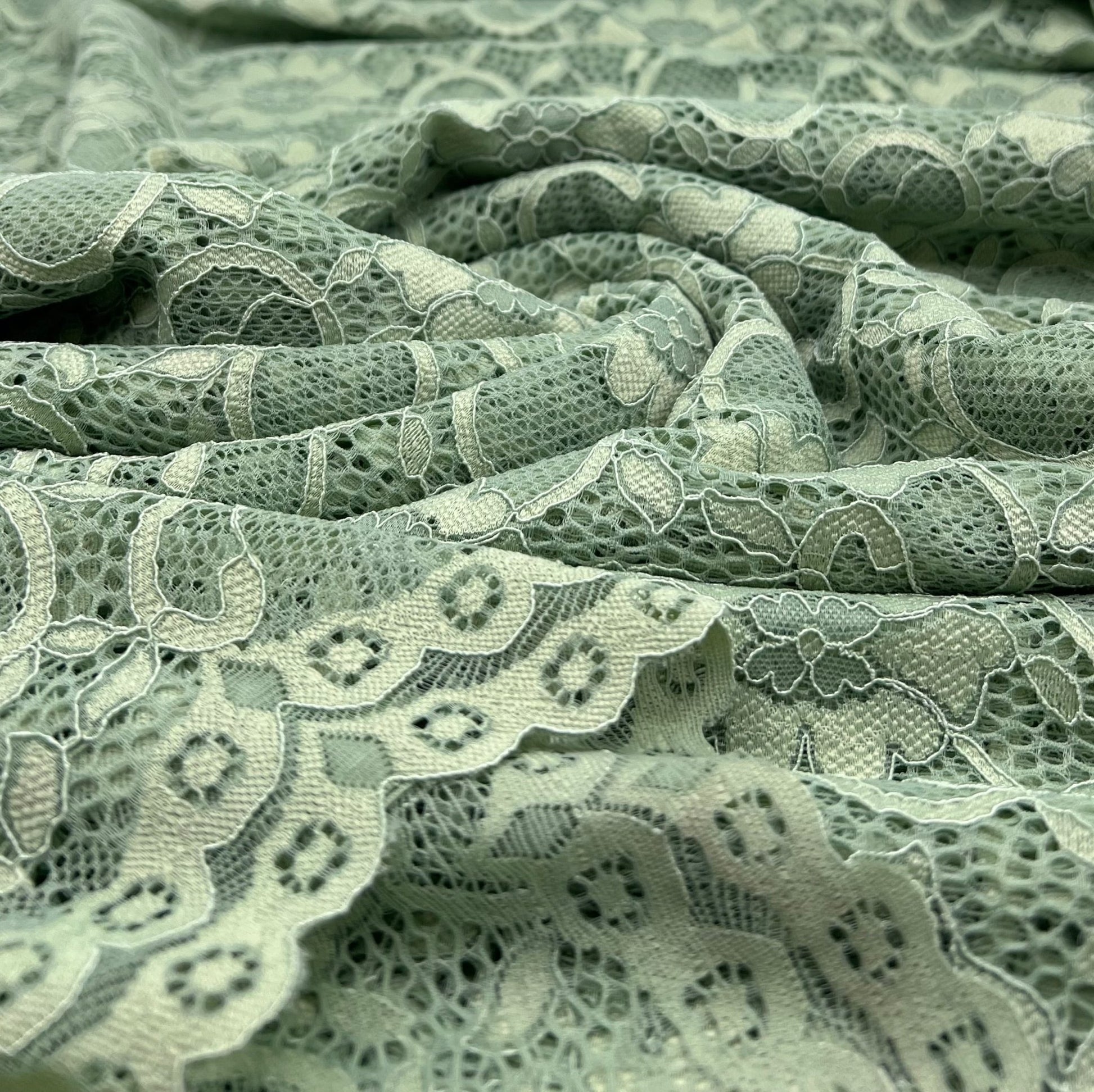 Sage Green Scalloped Edge Floral Lace Fabric Stretch - T9 Fabrics
