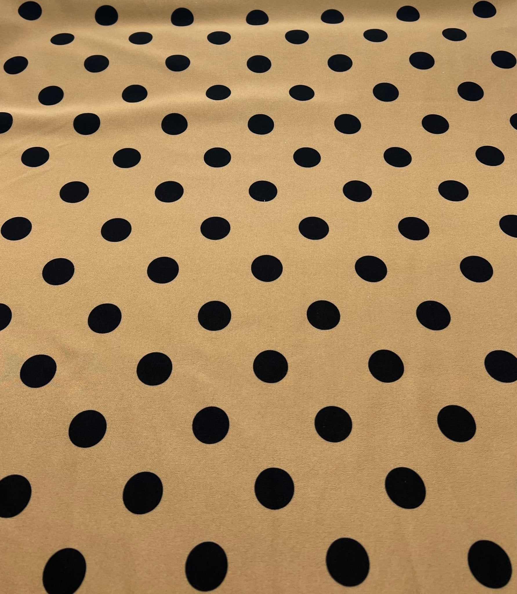 Tan Black Polka Printed Plain Scuba 2 Way Stretch Jersey Fabric - T9 Fabrics
