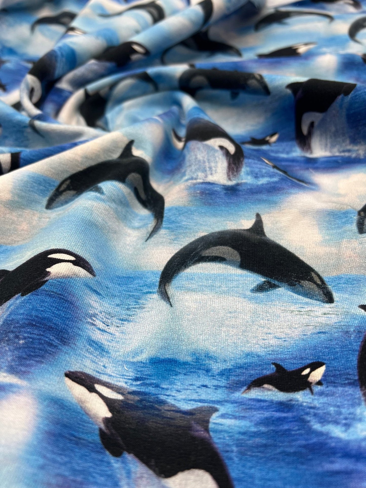 Whales French Terry Loopback Cotton Jersey Lycra 4 Way Stretch - T9 Fabrics