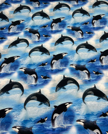 Whales French Terry Loopback Cotton Jersey Lycra 4 Way Stretch - T9 Fabrics
