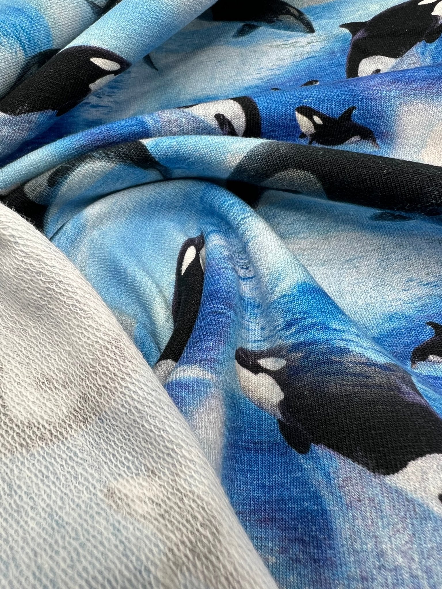 Whales French Terry Loopback Cotton Jersey Lycra 4 Way Stretch - T9 Fabrics