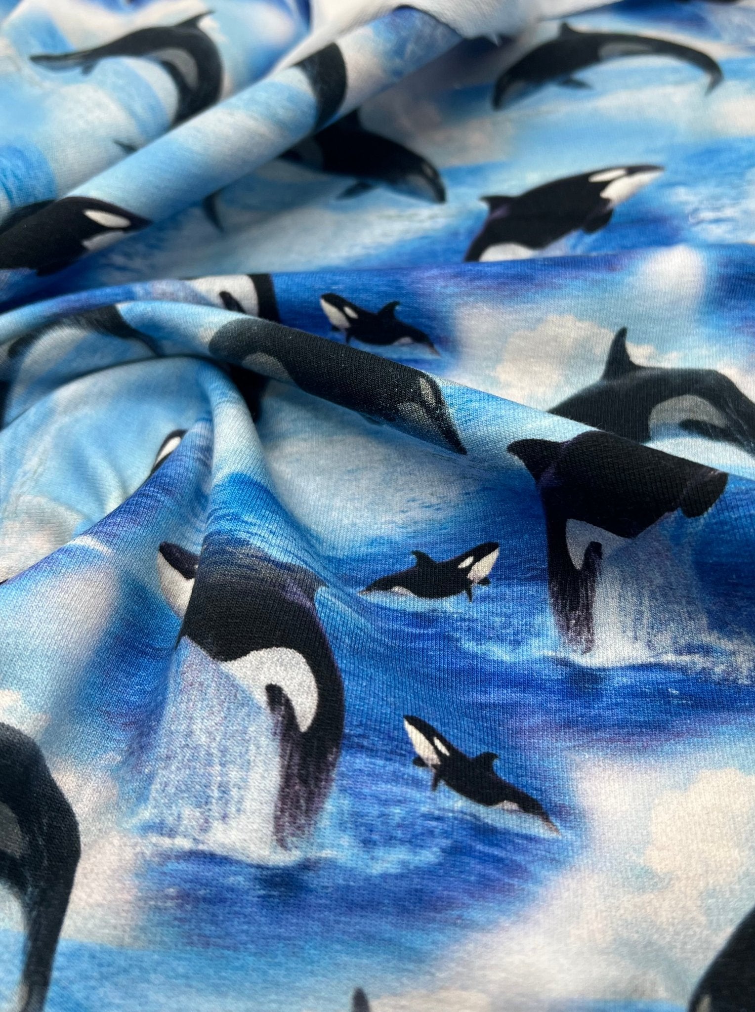 Whales French Terry Loopback Cotton Jersey Lycra 4 Way Stretch - T9 Fabrics