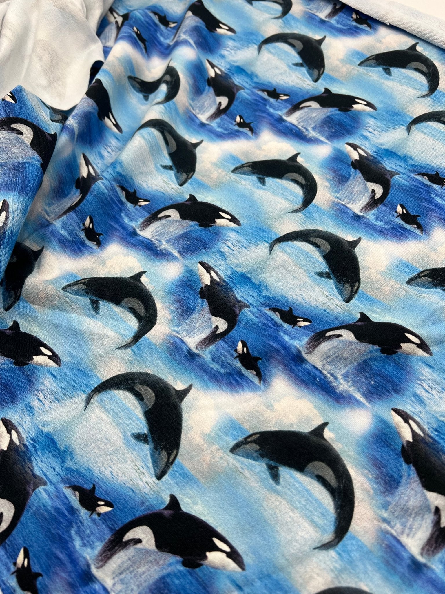 Whales French Terry Loopback Cotton Jersey Lycra 4 Way Stretch - T9 Fabrics