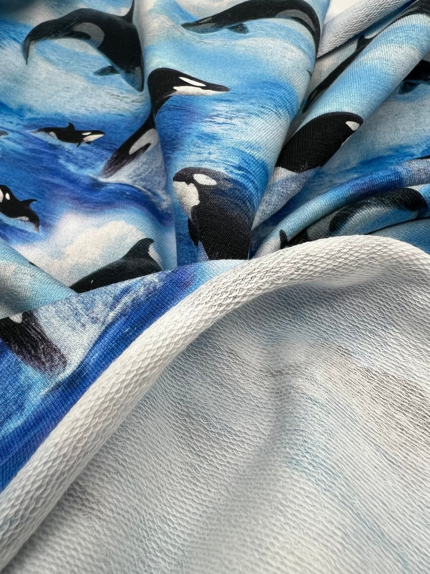 Whales French Terry Loopback Cotton Jersey Lycra 4 Way Stretch - T9 Fabrics