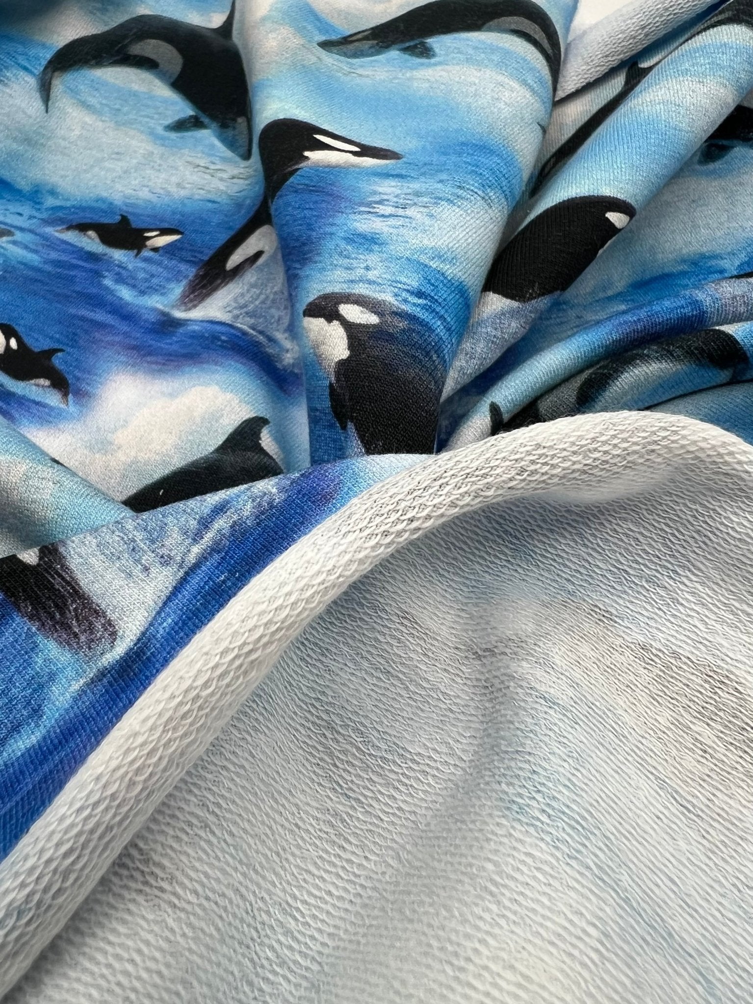 Whales French Terry Loopback Cotton Jersey Lycra 4 Way Stretch - T9 Fabrics