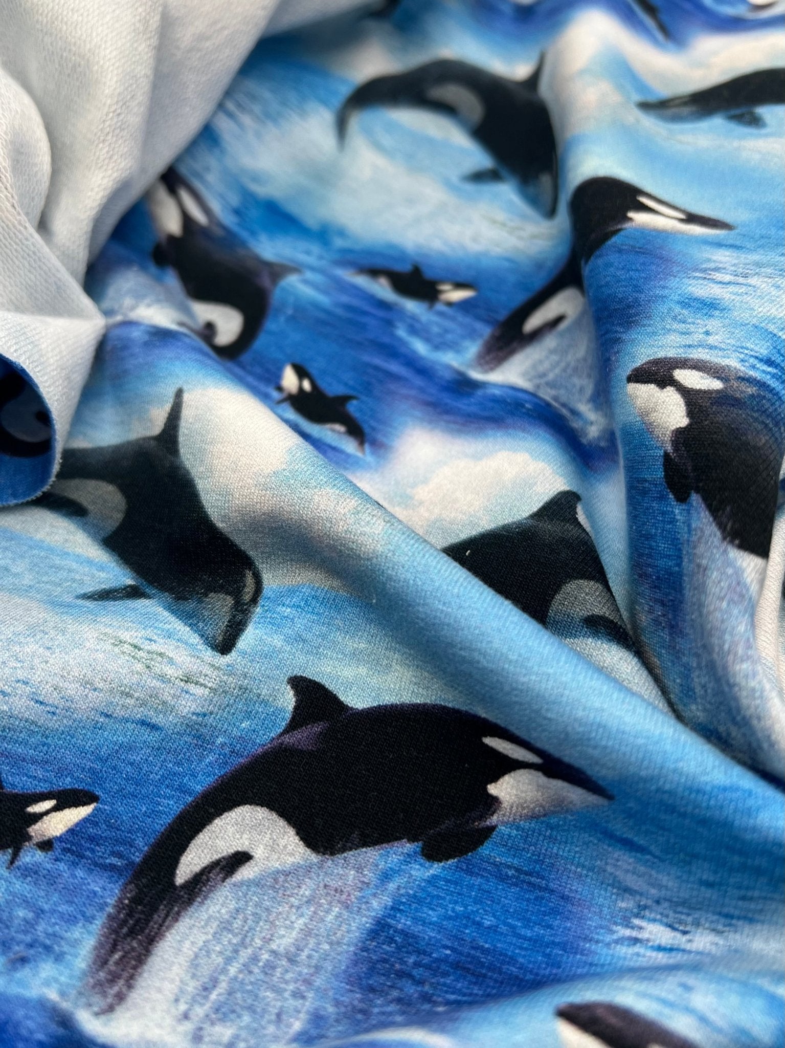 Whales French Terry Loopback Cotton Jersey Lycra 4 Way Stretch - T9 Fabrics