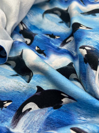 Whales French Terry Loopback Cotton Jersey Lycra 4 Way Stretch - T9 Fabrics