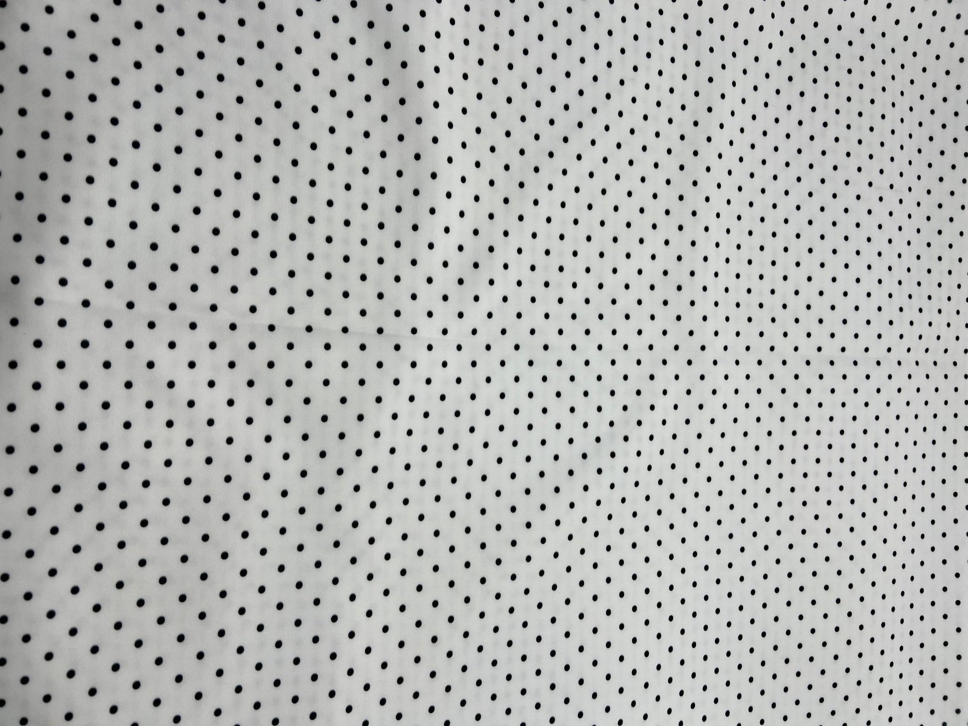 White Black Small Polka Dot Printed Plain Scuba Fabric - T9 Fabrics